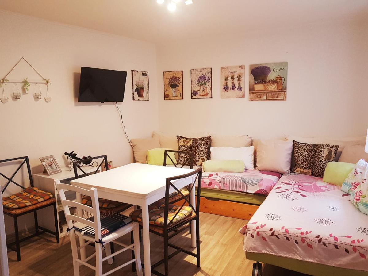 Dum V Podzamci Apartment เมลนิค ภายนอก รูปภาพ