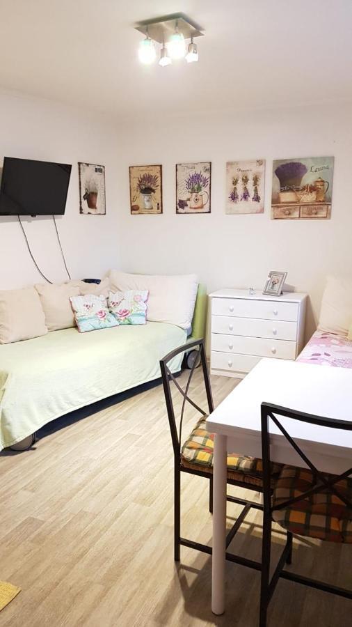 Dum V Podzamci Apartment เมลนิค ภายนอก รูปภาพ